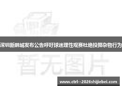 深圳新鹏城发布公告呼吁球迷理性观赛杜绝投掷杂物行为
