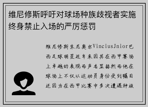 维尼修斯呼吁对球场种族歧视者实施终身禁止入场的严厉惩罚 维尼修斯呼吁对球场种族歧视者实施终身禁止入场的严厉惩罚